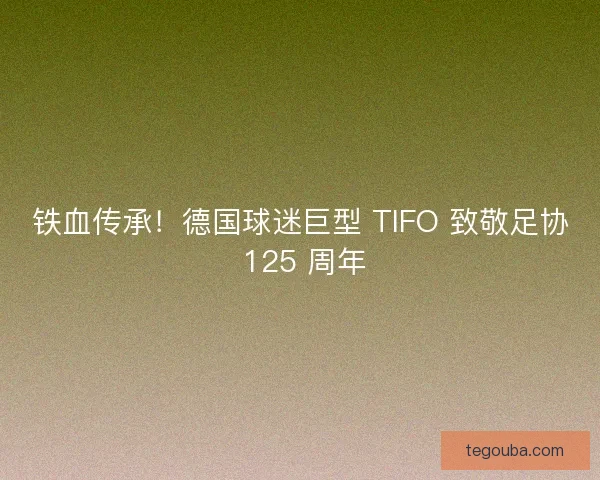 铁血传承！德国球迷巨型 TIFO 致敬足协 125 周年