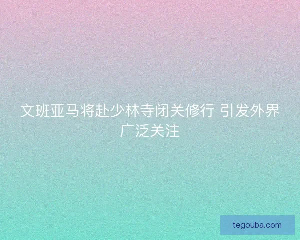 文班亚马将赴少林寺闭关修行 引发外界广泛关注