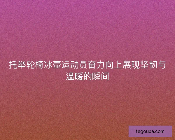 托举轮椅冰壶运动员奋力向上展现坚韧与温暖的瞬间